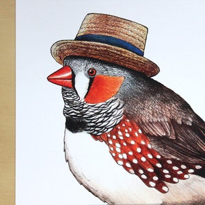 Zebra Finch in a Boater Hat A4 Print image 4