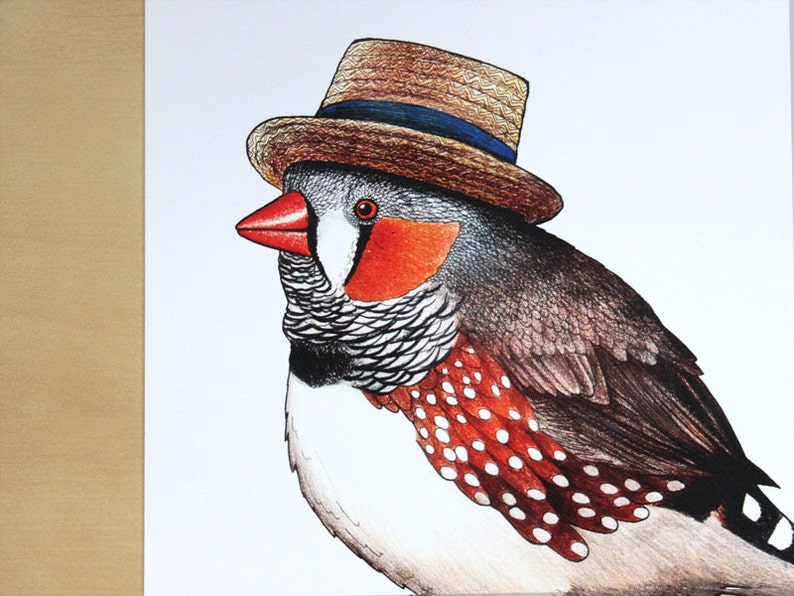 Zebra Finch in a Boater Hat A4 Print image 4