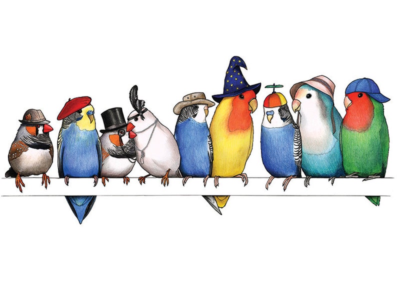 A Row of Little Birds in Hats A3 Art Print image 2