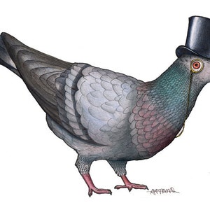 Pigeon in a Top Hat: A4 Print image 1