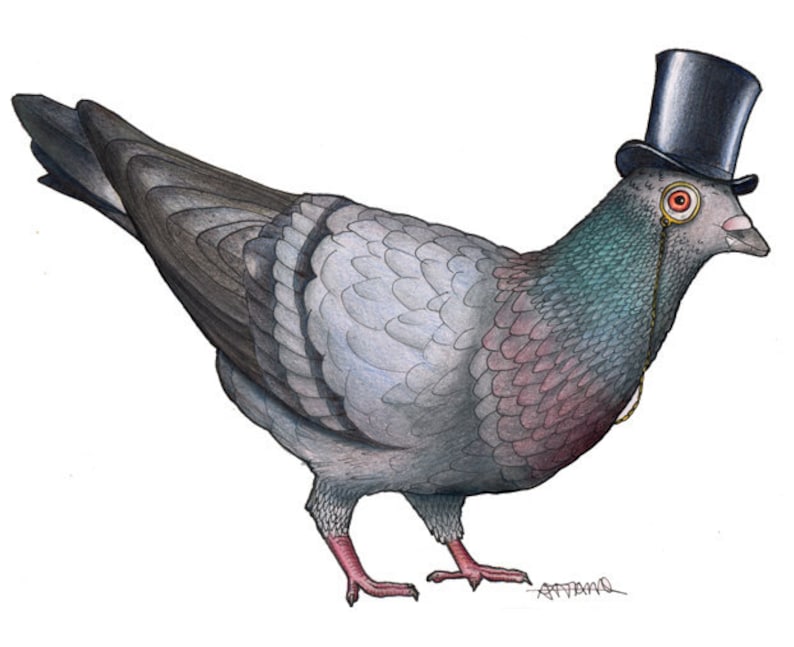 Pigeon in a Top Hat: A4 Print image 1