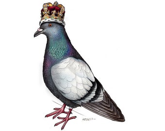 Pigeon in a Crown - A4 Print