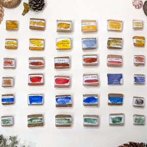 Puede incluir: Una vista cenital muestra una colección de muestras de pintura de acuarela. Cada muestra es un pequeño bloque rectangular con una etiqueta. Los colores varían, incluyendo amarillos, rojos, azules y verdes. Conchas marinas y otros elementos naturales rodean las muestras de pintura.
