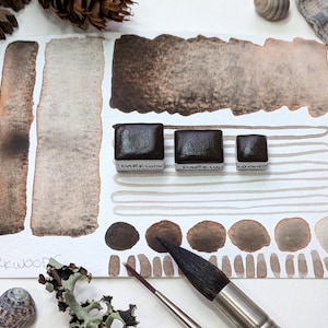 Puede incluir: Muestras de pintura de acuarela en tonos marrones y beige sobre papel blanco. Tres pastillas de pintura cuadradas están etiquetadas como "DARKWOOD", "DAZEW" y "WOOD". Un pincel y elementos naturales rodean las muestras.