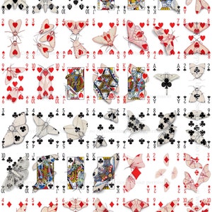 UNCUT SHEET - Cryptic Cards Full Deck Uncut Sheet - Playing Card Art of Cryptic Moths