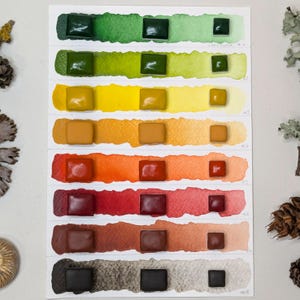 Leaf-cycle: a unique handmade watercolour set of seasonal leaf colours - hand made vegan watercolor paint, solidarity set in aid of MAP