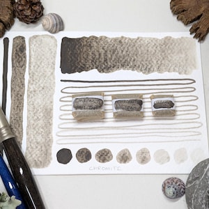 May include: Three small watercolour paint pans labelled "Chromatic High Black" on a white surface with a gradient of brown watercolour paint swatches and a row of five brown paint dots. The paint pans are surrounded by natural elements like pine cones, seashells, and lichen.