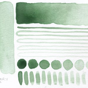 Foliage greens: handmade watercolour set of 4 green leaf hues ideal for plants/botanical art, made with vegan watercolor binder, 3 pan sizes image 7