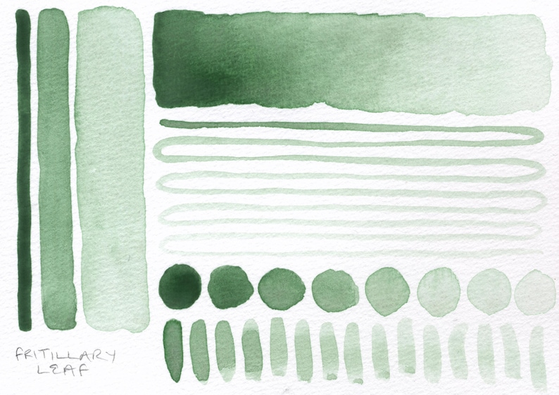 Foliage greens: handmade watercolour set of 4 green leaf hues ideal for plants/botanical art, made with vegan watercolor binder, 3 pan sizes image 7