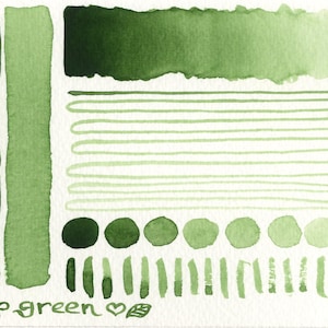 Foliage greens: handmade watercolour set of 4 green leaf hues ideal for plants/botanical art, made with vegan watercolor binder, 3 pan sizes image 3