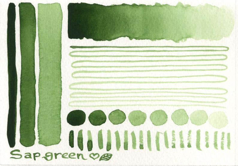 Foliage greens: handmade watercolour set of 4 green leaf hues ideal for plants/botanical art, made with vegan watercolor binder, 3 pan sizes image 3