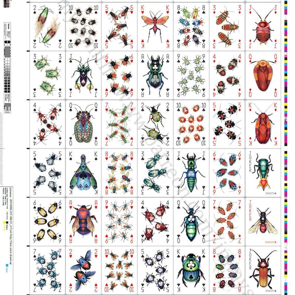 UNCUT SHEET - Insecta Deck - Full Deck Uncut Sheet - Playing Card Art of bugs, beetles, bees, & blattodeans