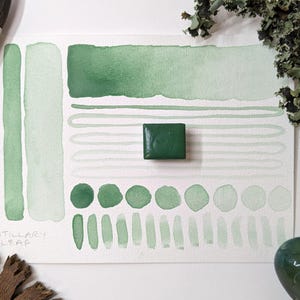 May include: Watercolor paint swatches in various shades of green, including a solid square of dark green paint. The word "FRITILLARY LEAF" is written on the paper. Paintbrushes and decorative elements are also visible.