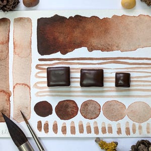 May include: A watercolour paint palette featuring various shades of brown. The image shows brushstrokes, circles, and three square paint blocks. The colour palette ranges from light beige to dark chocolate.