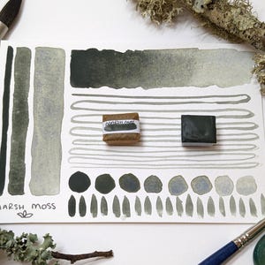 May include: A watercolor paint swatch card with various shades of green and gray. The card includes brush strokes, dots, and lines, along with two paint cubes and a paint stick labeled "Marsh Moss". Paintbrushes and natural elements are also present.