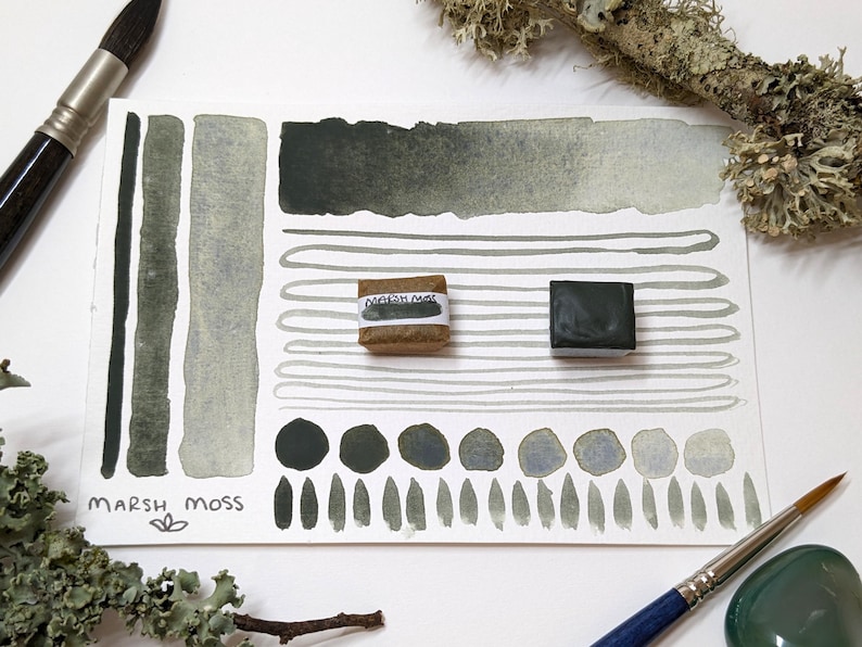 May include: A watercolor paint swatch card with various shades of green and gray. The card includes brush strokes, dots, and lines, along with two paint cubes and a paint stick labeled "Marsh Moss". Paintbrushes and natural elements are also present.