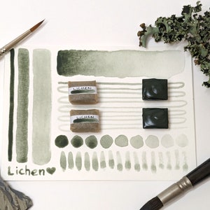 Lichen green - grey-green handmade watercolour paint, natural earth pigment hand-mulled watercolor in half & quarter pans, vegan binder