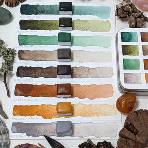 Into the trees: handmade 8 watercolour paint set inspired by walks in the woods, trees, lichens, and fungi. Vegan watercolor binder, 3 sizes