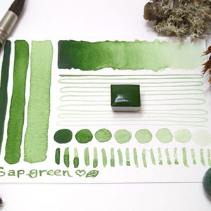 May include: A watercolor paint swatch card featuring various shades of sap green. The card displays brushstrokes, dots, and a solid square of the paint. The text "Sap green" is written on the card. Paintbrushes and natural elements like a pinecone and moss are also visible.