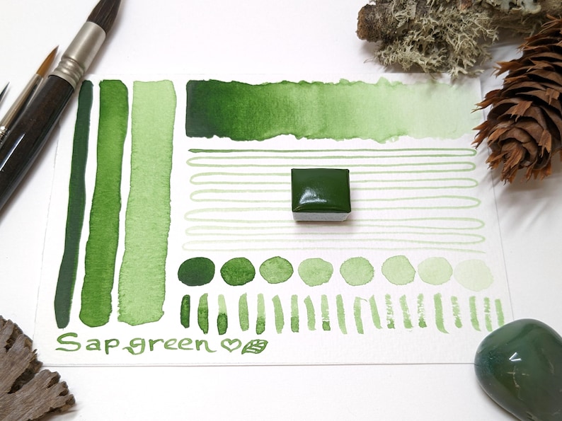 May include: A watercolor paint swatch card featuring various shades of sap green. The card displays brushstrokes, dots, and a solid square of the paint. The text "Sap green" is written on the card. Paintbrushes and natural elements like a pinecone and moss are also visible.