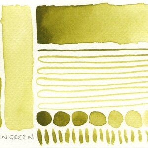 Foliage greens: handmade watercolour set of 4 green leaf hues ideal for plants/botanical art, made with vegan watercolor binder, 3 pan sizes image 5