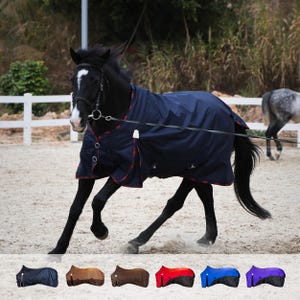 May include: A black horse with a white star on its forehead wears a navy blue horse blanket with red trim. The blanket features metal buckles at the chest and is shown in a variety of colors including brown, red, blue, and purple at the bottom.