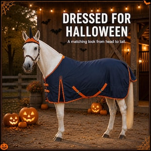 May include: A white horse wearing a navy blue horse blanket with orange trim and a matching ear bonnet with a black unicorn horn. The text DRESSED FOR HALLOWEEN A matching look from head to tail is visible above the horse in a rustic barn setting.