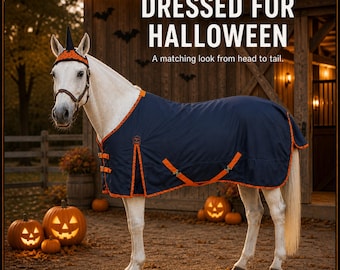 May include: A white horse wearing a navy blue horse blanket with orange trim and a matching ear bonnet with a black unicorn horn. The text DRESSED FOR HALLOWEEN A matching look from head to tail is visible above the horse in a rustic barn setting.