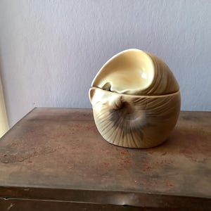 May include: A ceramic lidded jar with a smooth, rounded shape and a glossy cream-coloured finish. The surface features subtle, swirling brown and tan striations that radiate from a central point, creating a natural, shell-like appearance.