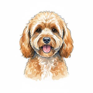 Puede incluir: Ilustración en acuarela de un perro de aspecto amigable con pelaje marrón claro y crema. El perro tiene nariz negra, ojos marrones y lengua rosada. La obra de arte está sobre un fondo blanco.