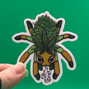 May include: A die-cut sticker featuring a cartoon spider with a tan body, green and brown legs, and large dark eyes. The spider has a green cannabis bud and a dark green marijuana leaf on its back and is exhaling a small cloud of white smoke.