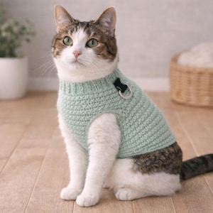 Pode incluir: Um gato usando um suéter de malha verde claro com um anel de arnês preto. O gato tem pelo branco e marrom e está sentado em um chão de madeira. Uma planta em vaso e uma cesta de vime estão no fundo.