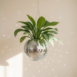 Puede incluir: Una maceta colgante de bola de discoteca con una exuberante planta verde. La maceta esférica está cubierta de pequeñas baldosas de espejo reflectantes. La planta tiene hojas grandes y verdes vibrantes. La maceta cuelga de una cadena plateada.