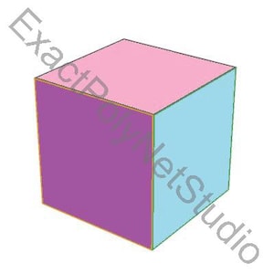 May include: A three-dimensional cube with a purple front face, a light blue side face, and a light pink top face. The edges are outlined in a thin gold color. The text ExactPolyNetStudio is overlaid diagonally across the cube in a light gray font.