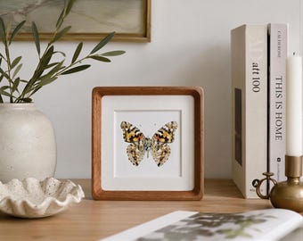 Kleine Schmetterling Wandkunst: Teak oder Walnuss Holz gerahmtes Regal Dekor