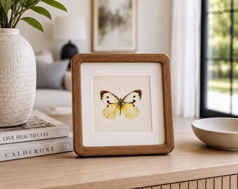 Gelber Schmetterling gerahmt Aquarell Druck | Kleines botanisches Regal Art