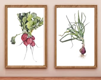 Fotokunst: Radieschen und Zwiebel Aquarell Drucke im Landhaus Stil