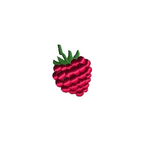 Mini Raspberry Machine Embroidery Design-INSTANT DOWNLOAD