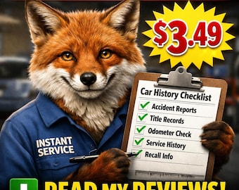 Used Vehicle Checklist PDF (cheapest and quickest one on Etsy)