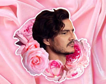 Serie Novio: Pedro Pascal