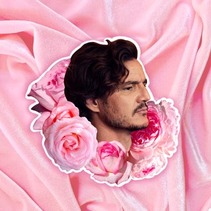May include: A man with dark brown hair and a beard is surrounded by pink roses. The background is a pink velvet fabric.