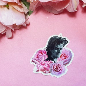 Boyfriend Series: Joe Keery