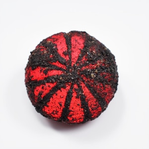 May include: A round, red object with black, radiating lines and a textured, dark coating. The object is centered on a white background, showcasing its unique color contrast and design. The overall appearance suggests a decorative or novelty item.