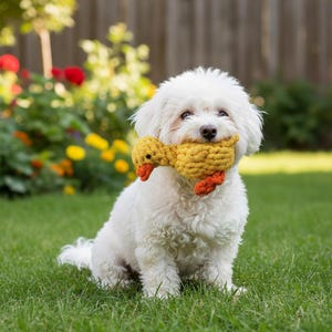 May include: A fluffy white dog sits on green grass, holding a yellow and orange knitted duck toy in its mouth. The dog is in focus, with a blurred background of flowers and a wooden fence. The toy has a detailed design.