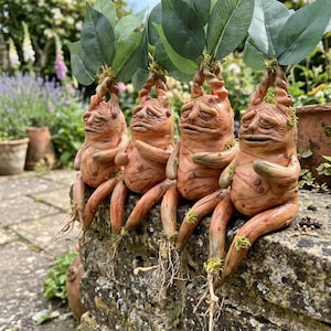 May include: Four orange-brown, whimsical sculptures of mandrakes with green leafy tops and expressive faces. The mandrakes are seated on a stone wall, with their legs and roots hanging down. The background features a garden setting.