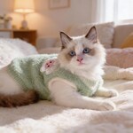Cat Clothing