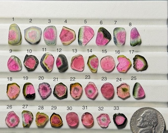 Puede incluir: Una colección de piedras preciosas de turmalina sandía, que muestra una variedad de formas y colores, incluyendo rosa, verde y transparente. Las piedras están dispuestas sobre una superficie blanca, con una moneda de níquel estadounidense para la comparación de tamaños.