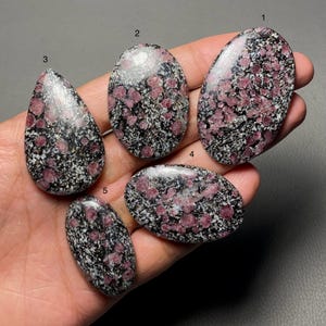May include: Five polished cabochon gemstones featuring a speckled black and white matrix with embedded pink crystals. Each stone is numbered from one to five, displaying varied oval and teardrop shapes with a smooth, reflective surface finish.