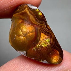 May include: A polished fire agate gemstone featuring a translucent brown base with vibrant, iridescent botryoidal inclusions in shades of gold, orange, and green. The stone displays distinct concentric banding patterns and a smooth, glossy surface texture.