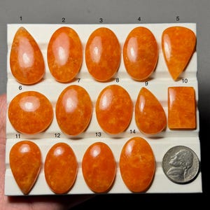 Puede incluir: Una colección de catorce piedras preciosas naranjas pulidas en varias formas, incluyendo ovaladas, en forma de lágrima y rectangulares. Se incluye una moneda de níquel estadounidense para comparar el tamaño. Las piedras se muestran sobre una superficie blanca.